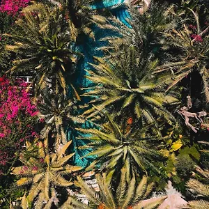 Flamingo & - Pet Friendly 3*, Ölüdeniz Turchia